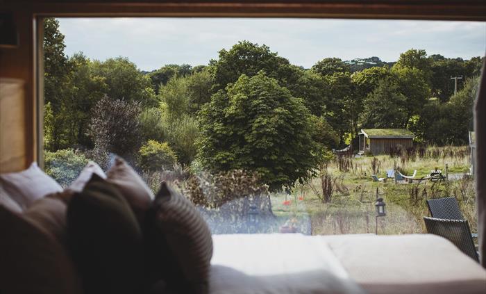 View from The Lookout cabin.